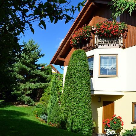 Ferienwohnung Sonnenblick Bischofswerda Εξωτερικό φωτογραφία